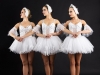 Stars Profils, шоу - балет, номер Лебеди