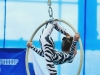 Маргарита, каучук | воздушная гимнастка (кольцо) - акробат, артист праздник